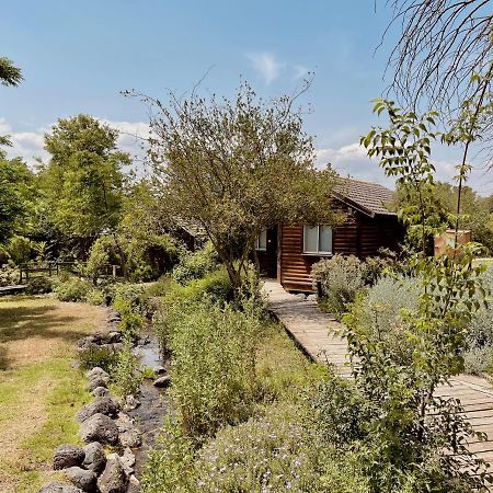 诺菲哈巴桑住宿 Lehavot HaBashan 外观 照片