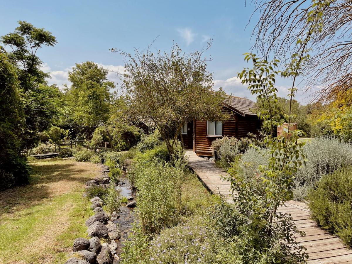 诺菲哈巴桑住宿 Lehavot HaBashan 外观 照片
